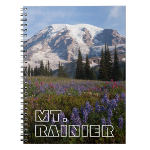 Carnet Parc national du mont Rainier, Mont Rainier 3
