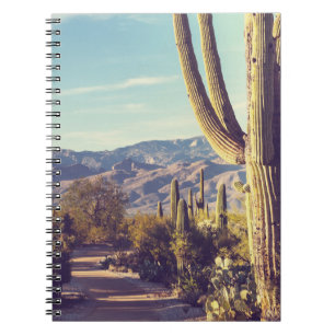 Carnet Parc national du Saguaro, représentation pittoresq