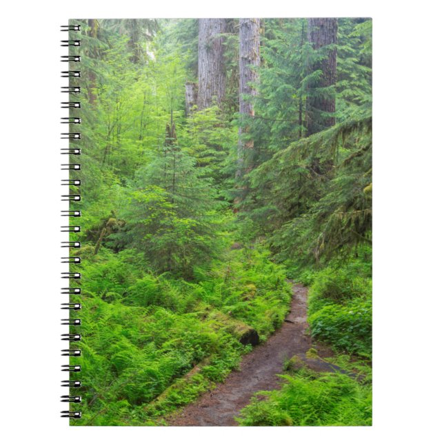 Carnet Parc national Olympique, sentier forestier (Devant)