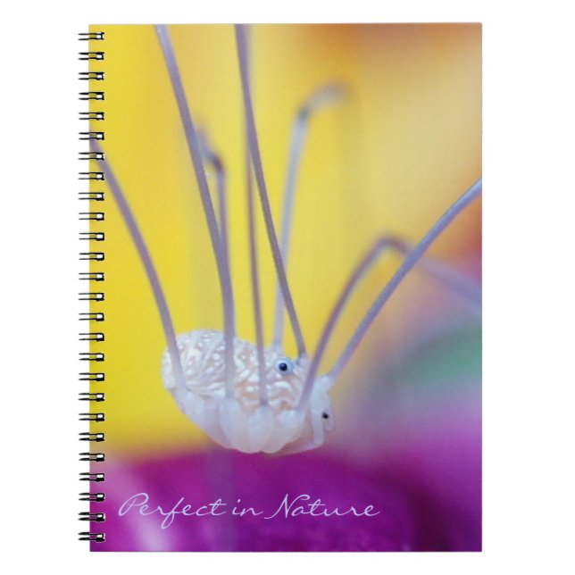 Carnet Parfait dans la nature (Devant)