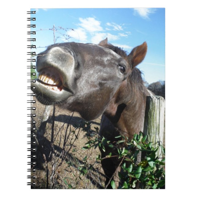 Carnet Parler de cheval Brown (Devant)