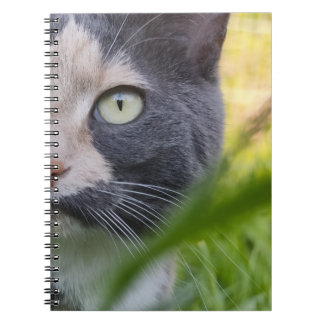 Carnet Parmi les brins - Kobayashi dans le vert
