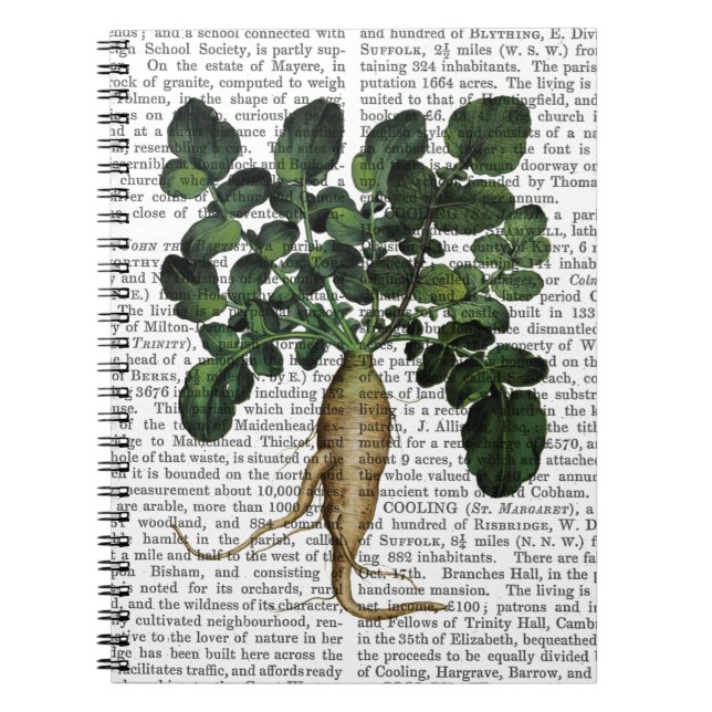 Carnet Parsnip 1 (Devant)