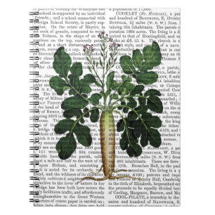 Carnet Parsnip 3