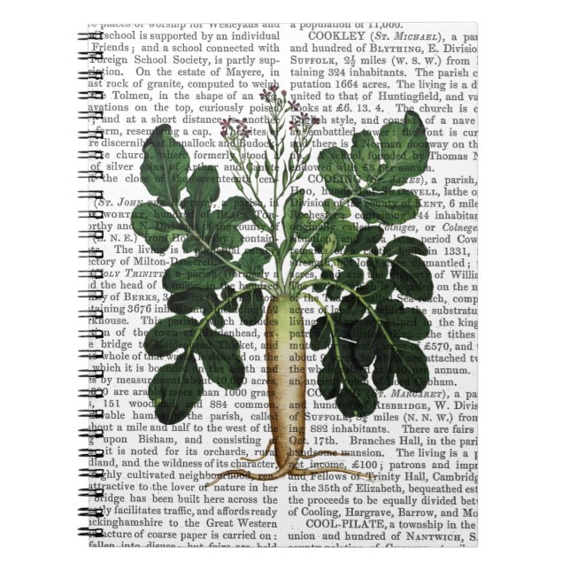 Carnet Parsnip 3 (Devant)