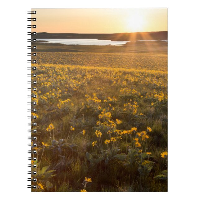 Carnet Parterre de fleurs sauvages de Balsamroot à feuill (Devant)