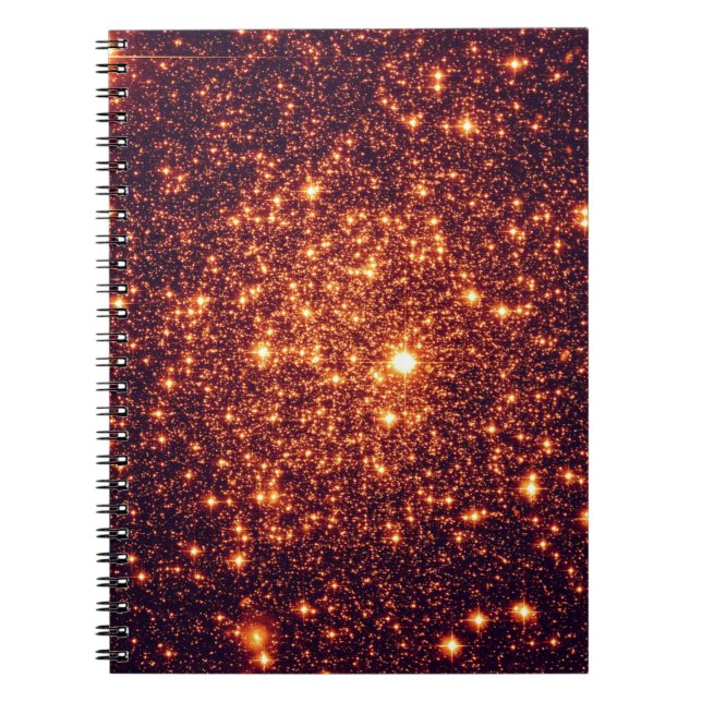 Carnet Parties scintillant Astral de bronze (Devant)