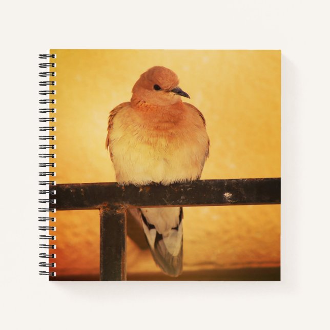 Carnet "Pas de photos, s'il vous plaît !" (Devant)