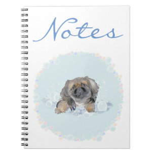 Carnet Pas un autre bain