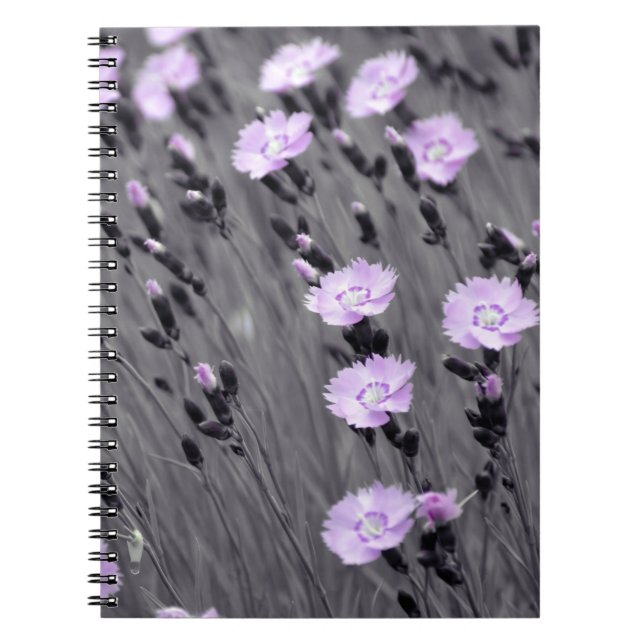 Carnet Pastel lilac (Devant)