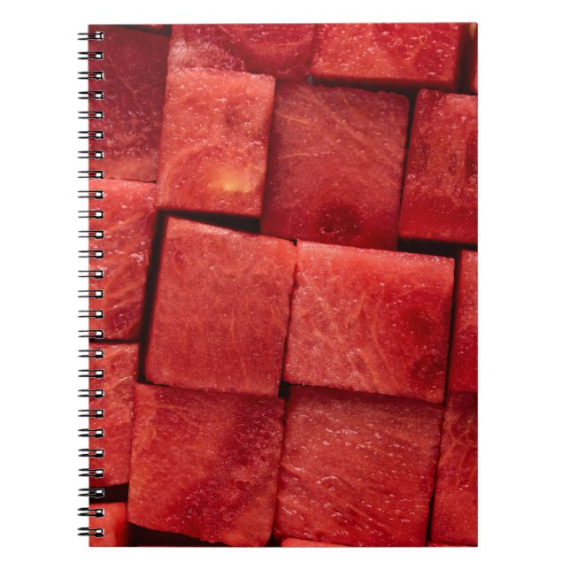 Carnet pastèque glacée (Devant)