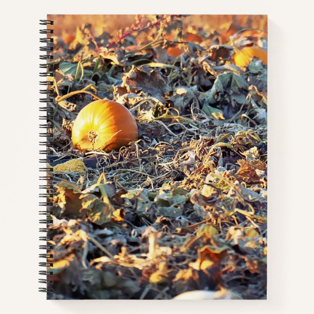 Carnet Patch de citrouilles givré (Devant)