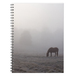 Carnet Pâturage