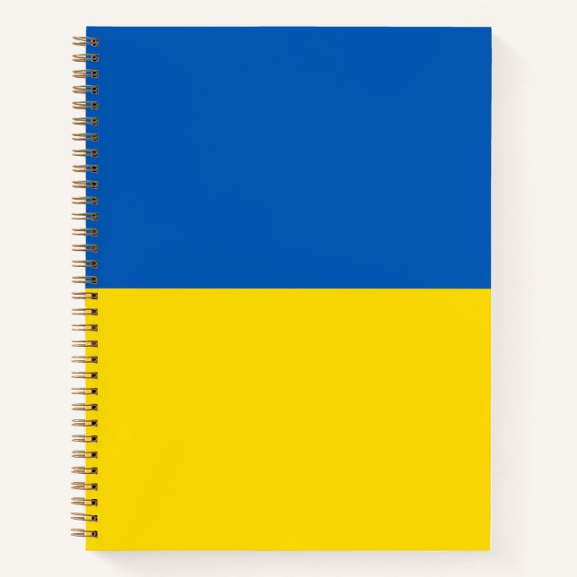 Carnet Pavillon ukrainien bleu et jaune moderne (Devant)