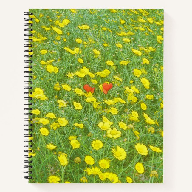 Carnet Pavot aquarelle (Devant)