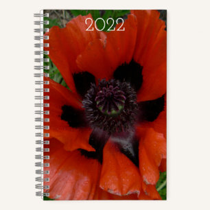 Carnet pavot d'Orient