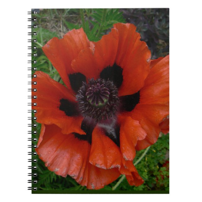 Carnet Pavot d'Orient      (Devant)