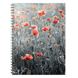 Carnet Pavot fleur sauvage