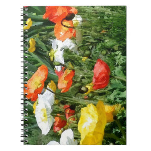 Carnet pavots peints