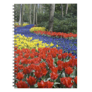 Carnet Pays-Bas, Hollande, Lisse, Jardins de Keukenhof