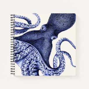 Carnet Paysage Bleu Octopus