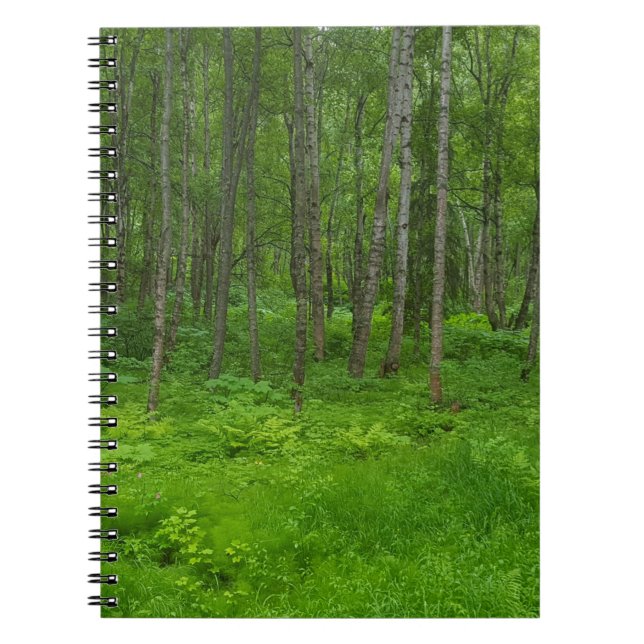 Carnet Paysage de forêt verdoyante (Devant)