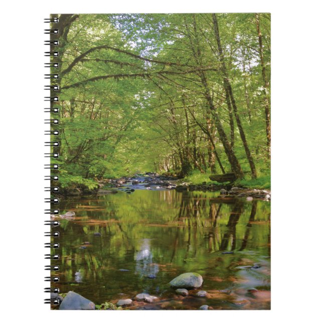 Carnet Paysage de la rivière Wilson (Devant)
