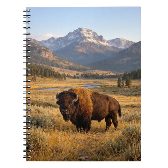 Carnet Paysage de montagne Bison d'Amérique (Devant)
