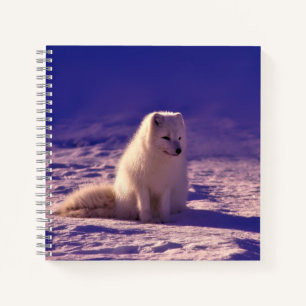 Carnet Paysage de neige de l'hiver de Fox Arctique