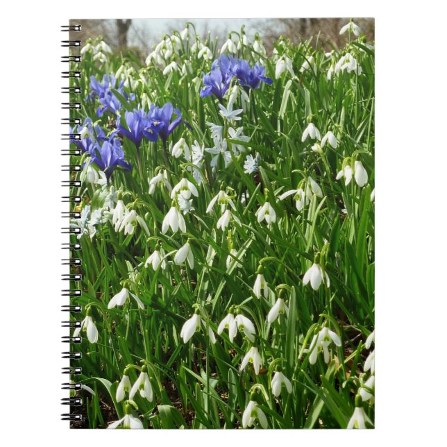 Carnet Paysage des fleurs du début du printemps (Devant)
