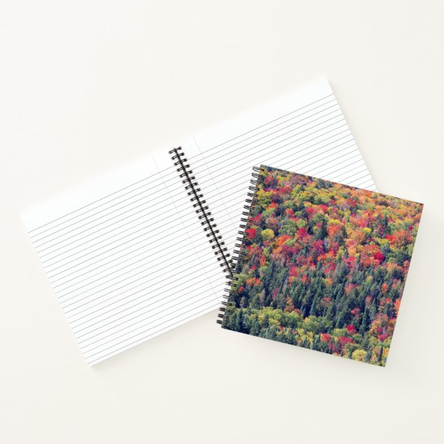Carnet Paysage forestier d'automne (Intérieur)