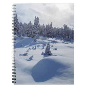 Carnet Paysage neigeux