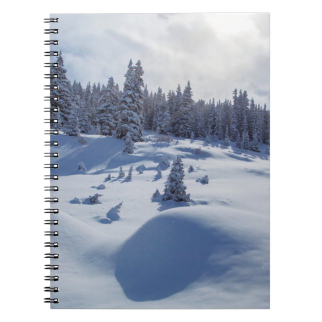 Carnet Paysage neigeux (Devant)