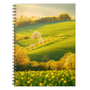 Carnet Paysage rural paisible en poutres de soleil. Beau 