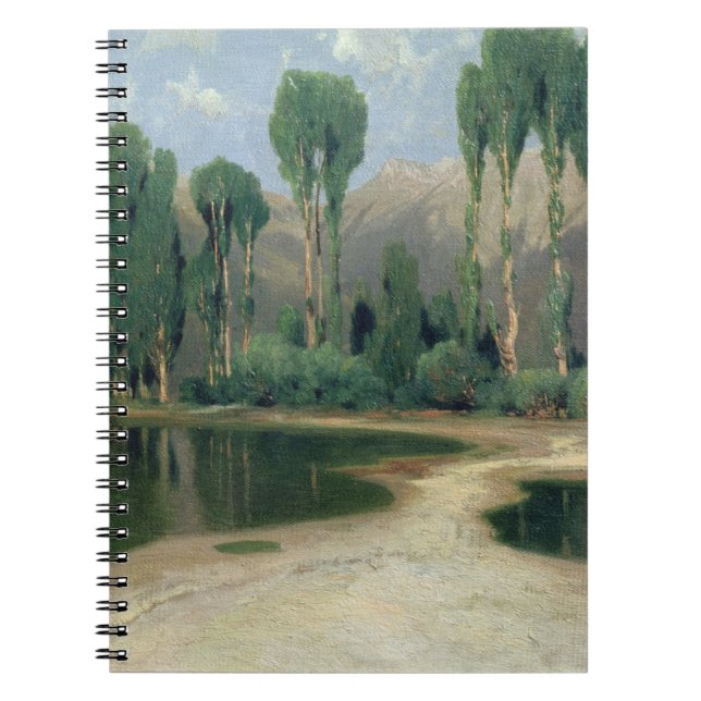 Carnet Paysage suisse (Devant)