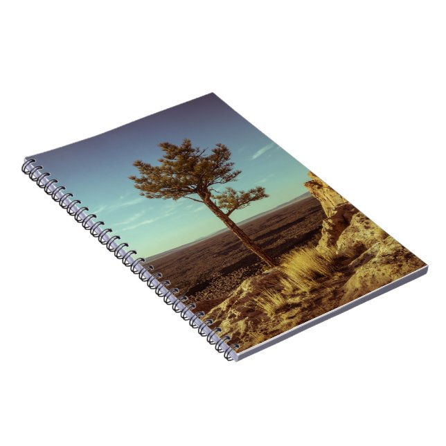 Carnet Paysage USA Vintage (Côté Droit)