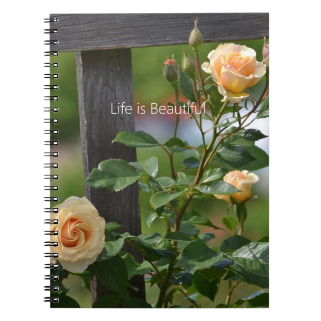 Carnet Peach Roses Fence Floral (my photography) (Devant)
