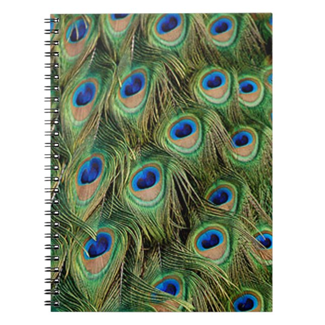 Carnet Peacock (Devant)