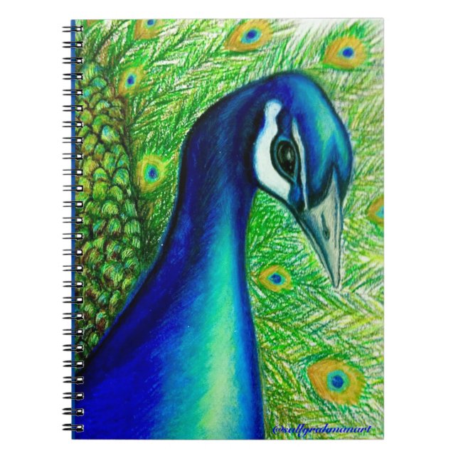 Carnet Peacock (Devant)
