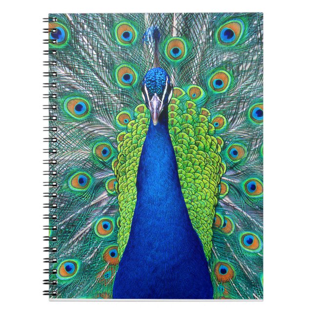 Carnet Peacock#1 (Devant)