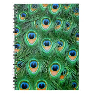 Carnet Peacock#2-Notebook