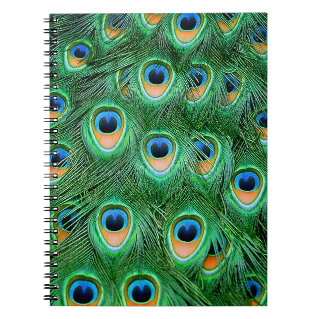 Carnet Peacock#2-Notebook (Devant)