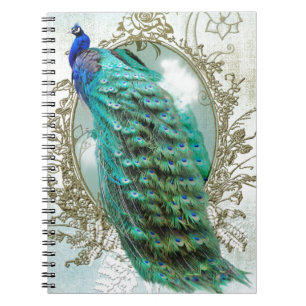 Carnet peacock beautiful turquoise vintage shabby bird