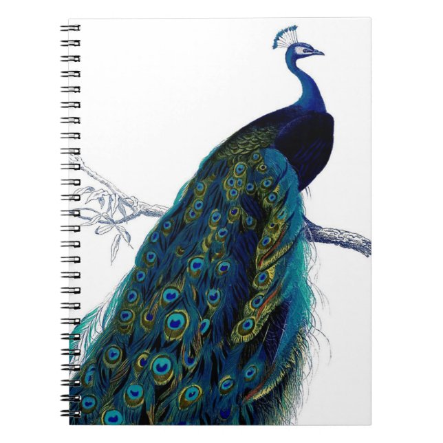 Carnet Peacock couleur bleu vintage (Devant)
