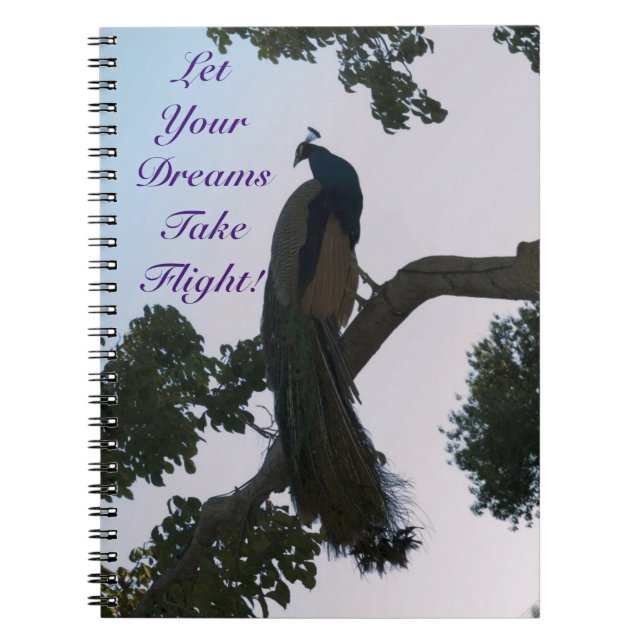 Carnet Peacock Dreams (Devant)