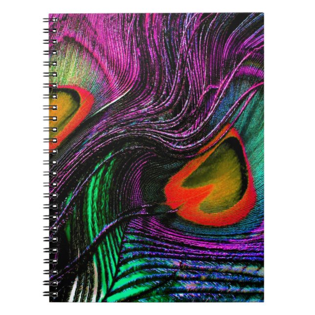 Carnet Peacock feather rainbow (Devant)