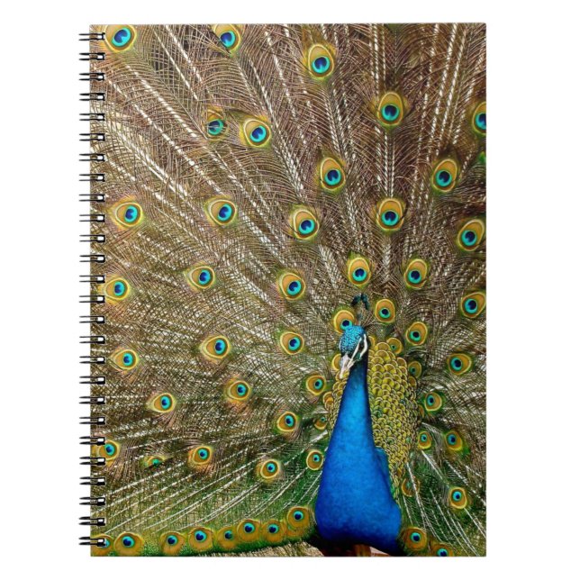 Carnet Peacock Motif Peacock Artisanat Peacock Peinture A (Devant)