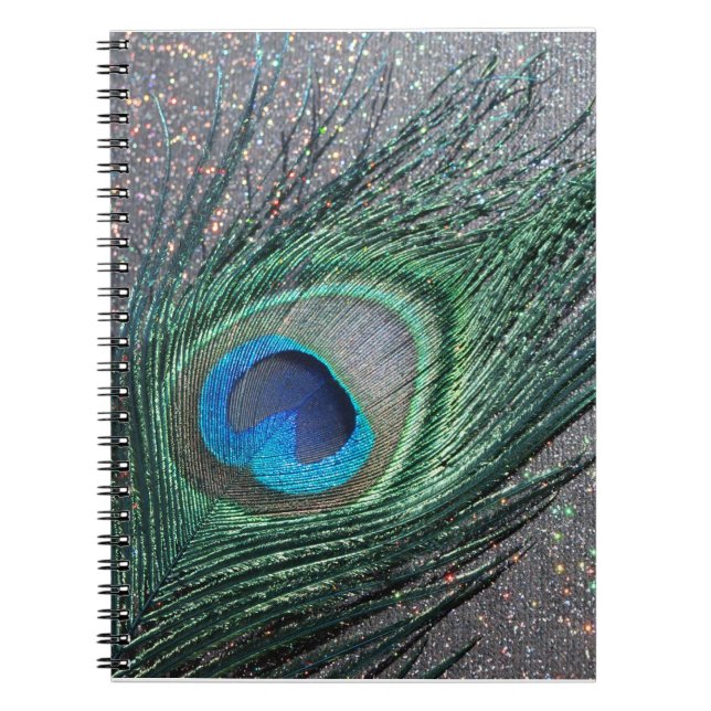 Carnet Peacock noir brillant plume encore vie (Devant)