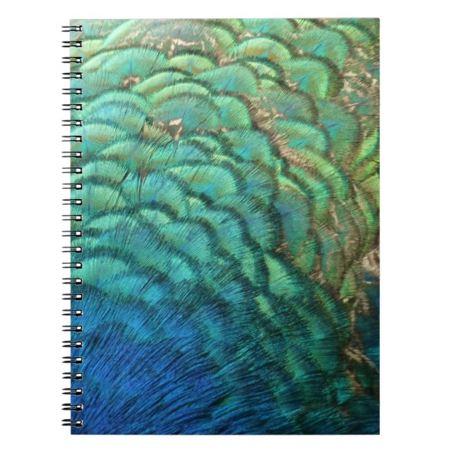 Carnet Peacock Plumes I Colorful Abstrait Nature Design (Devant)