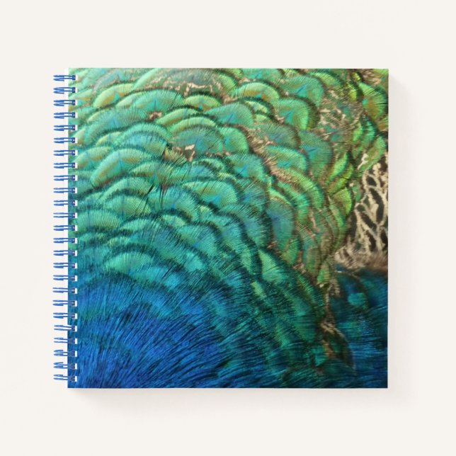 Carnet Peacock Plumes I Colorful Abstrait Nature Design (Devant)
